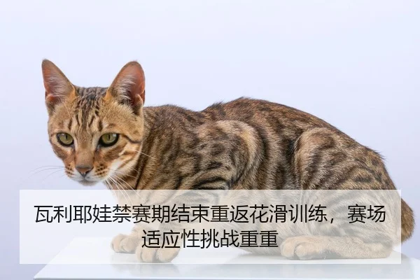 瓦利耶娃禁赛期结束重返花滑训练，赛场适应性挑战重重